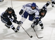  本当に十分です是什么意思 