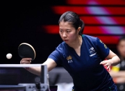  狂野西部19天简单攻略 